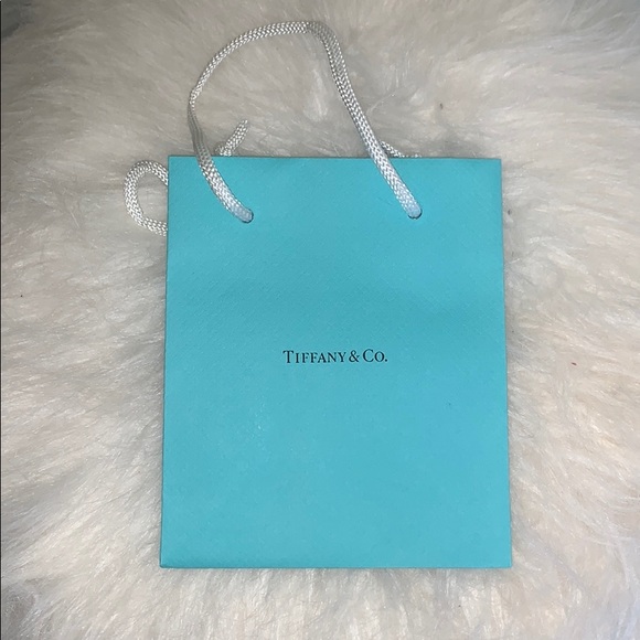 Tiffany & Co. Handbags - tiffany & co. bag